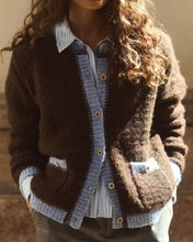 Load image into Gallery viewer, Culture Gilan Cardigan - Brown/Blue