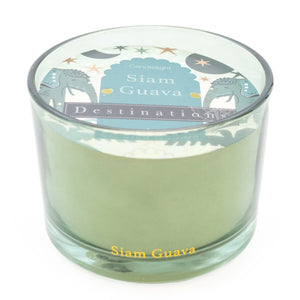 Candlelight Siam Guava Two Wick Candle -  Thai Flower Market