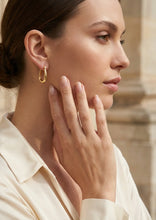 Load image into Gallery viewer, Envy Hoop Earring - Gold