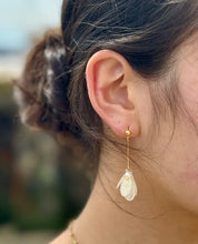 Load image into Gallery viewer, Ocean Ripples 14ct Gold Plated Shell Disc Earrings